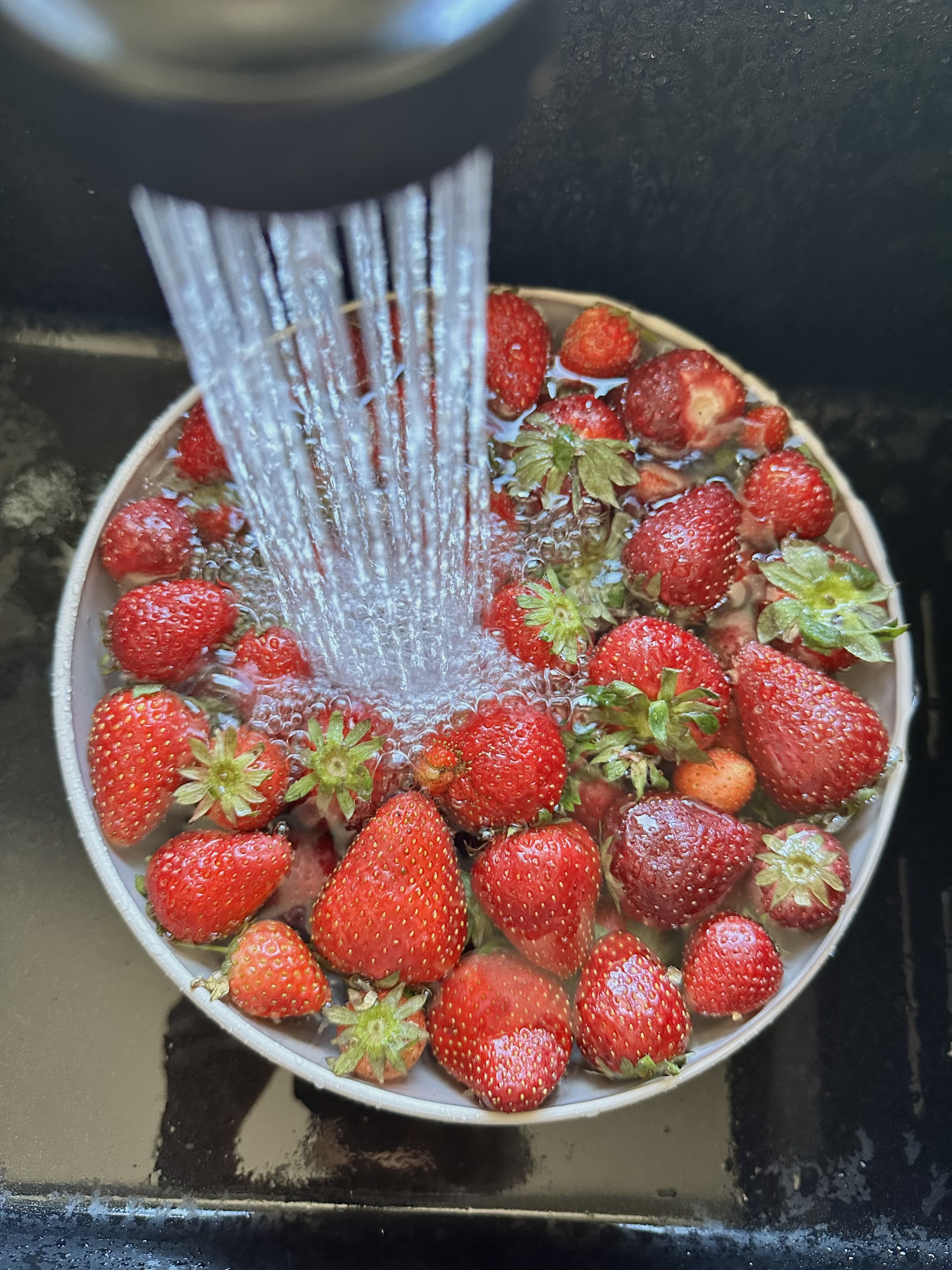 Fragole
