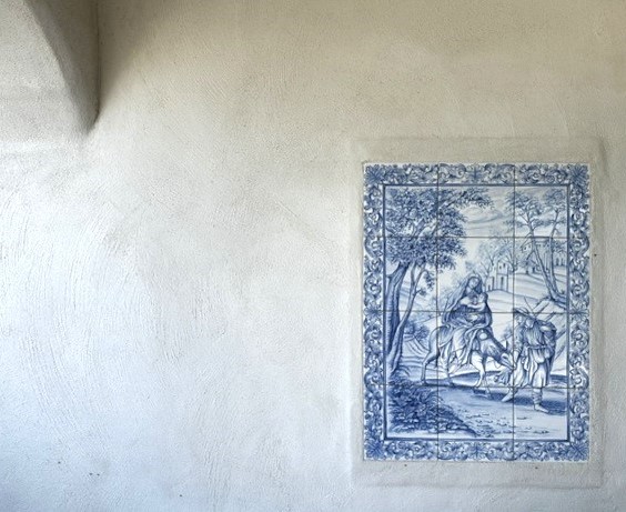 Vista esterna della casa con gli ulivi intorno